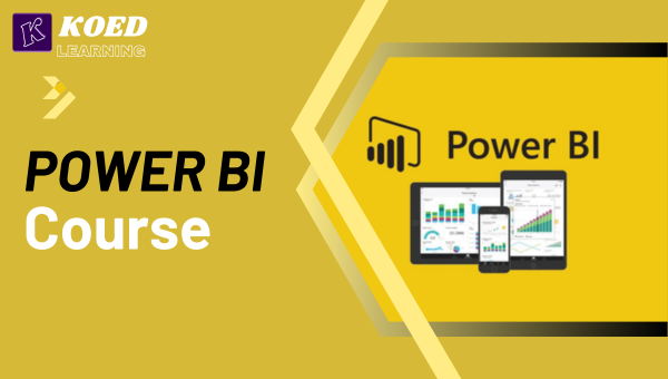 Power BI Developer