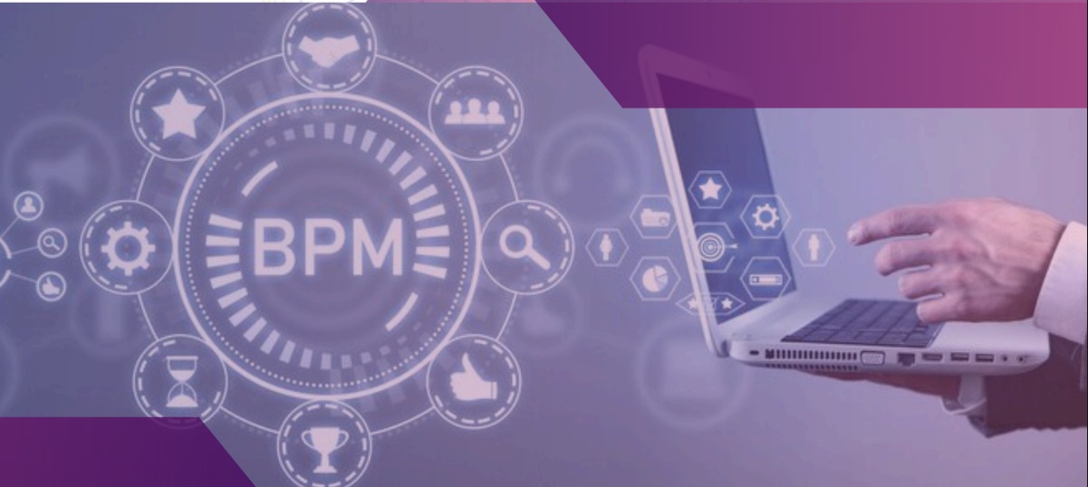 Business Process Management Course