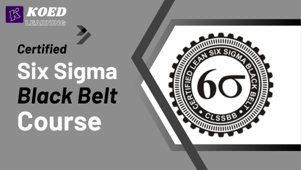 Lean Six Sigma Black Belt Course