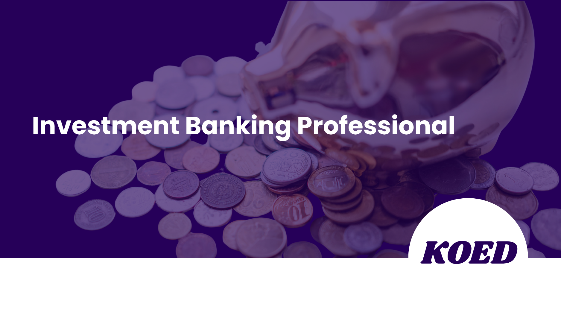 Investment Banking Professional Course