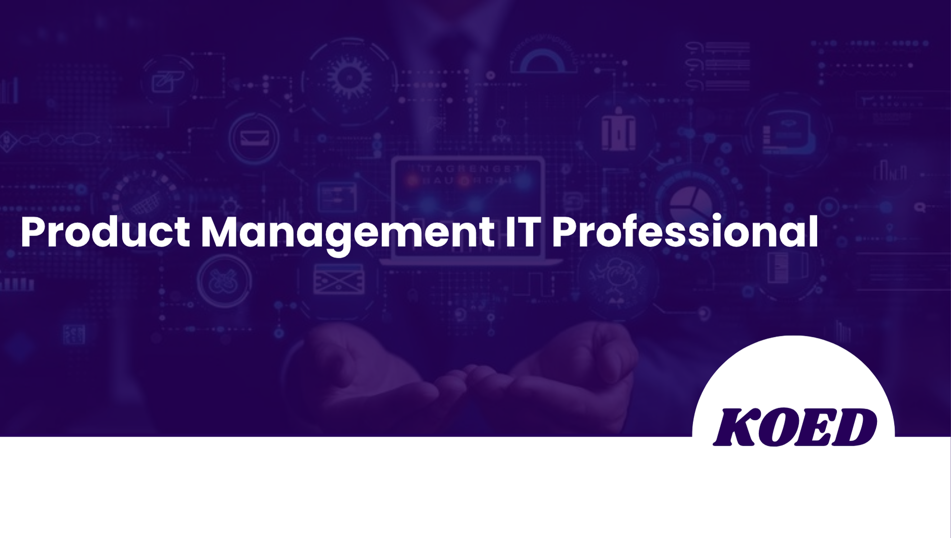Product Management IT Professional Course