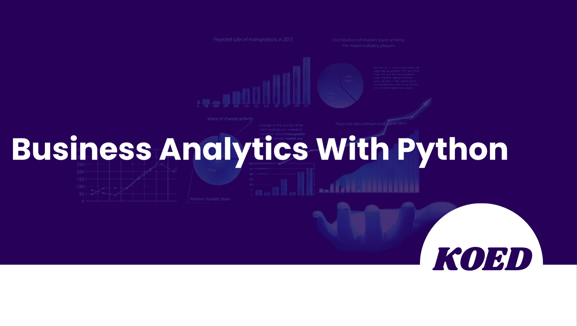 Business Analytics With Python Course