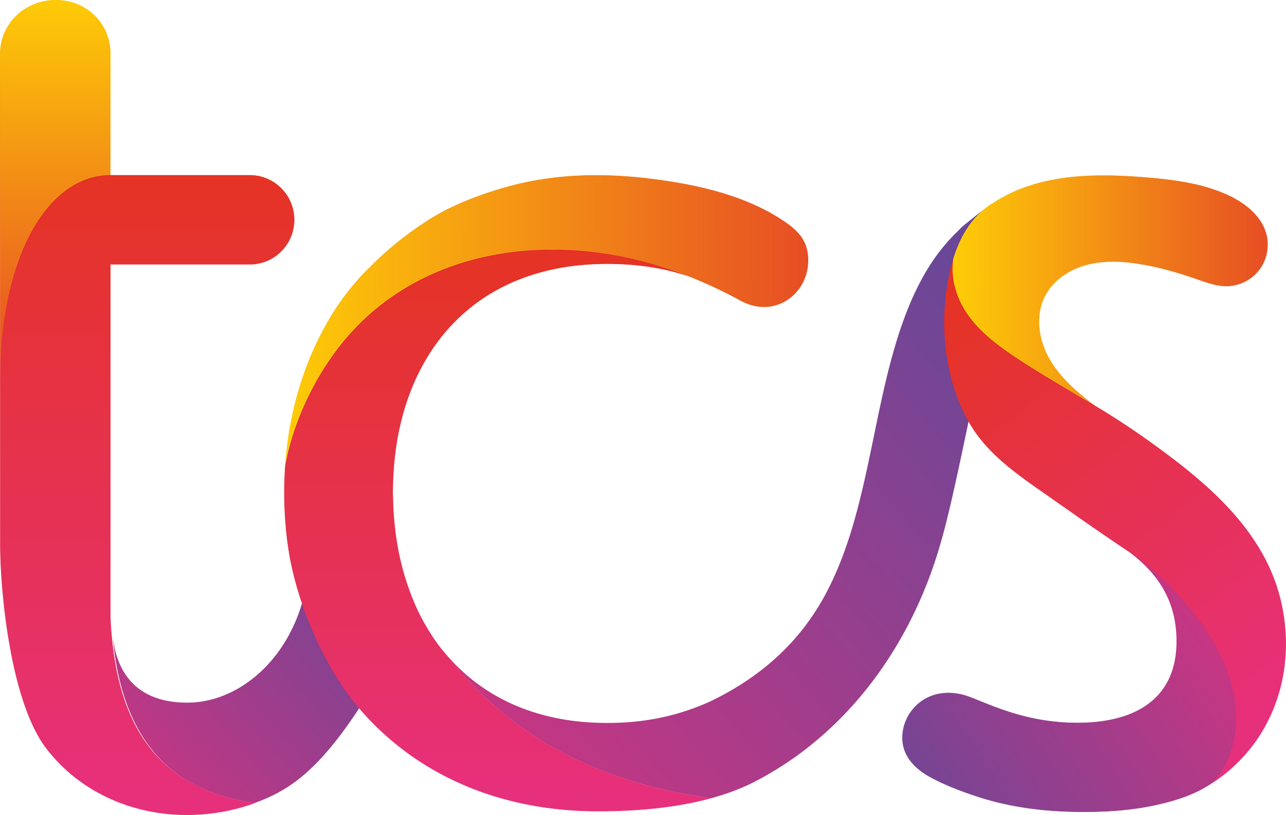 Tata Consultancy Services (TCS)